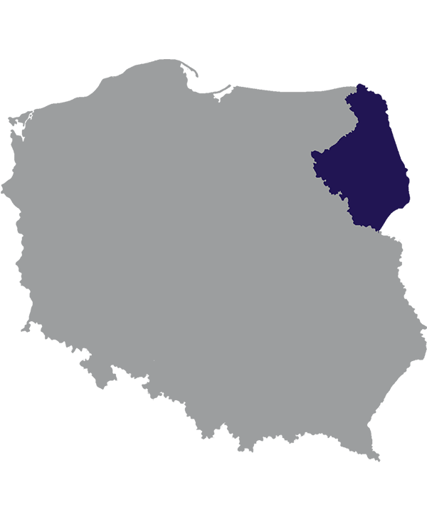 Landkaart Polen grijs met Woiwodschap Podlachië donkerblauw op transparante achtergrond - 600 * 733 pixels